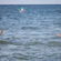  - Certains sont allés plus loin, en passant une journée à la mer à Houlgate…