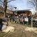  - Alpha et Nova, les brebis de la ferme urbaine passent chez le coiffeur… en plein air ! Un moment tout doux entre petits et grands, le 15 mars. © Marie-Pierre Dieterlé