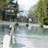 Cygne nageant dans le bassin du parc Léon-Salagnac