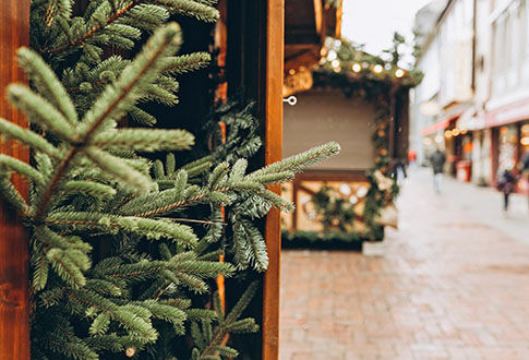 Sapin © 123rf