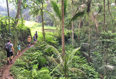 Jungle de Bali © Malakfamily