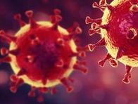 Coronavirus : les gestes à adopter