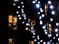Décembre en images