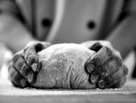 Solidarité avec Moctar, apprenti boulanger à L’Ecureuil